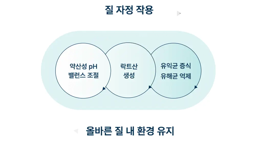 [의료기기] 라엘 이너케어 젤 질세정기 2종 택 1 (3개입/3개입 * 4팩) 상세페이지 5